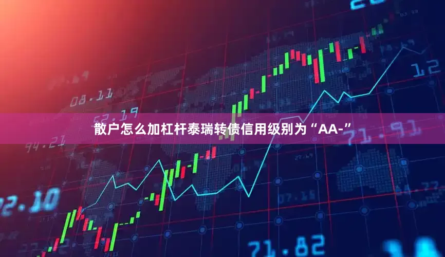 散户怎么加杠杆泰瑞转债信用级别为“AA-”