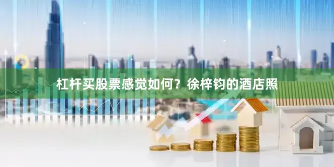 杠杆买股票感觉如何？徐梓钧的酒店照