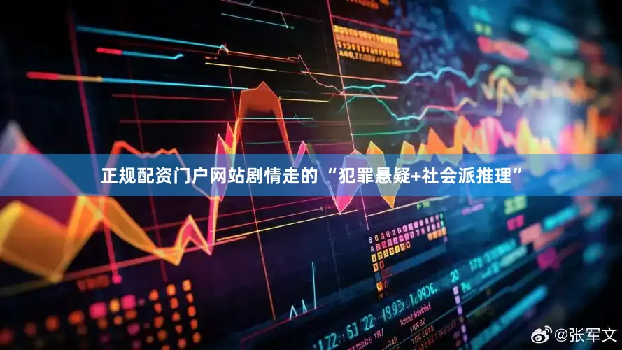 正规配资门户网站剧情走的 “犯罪悬疑+社会派推理”