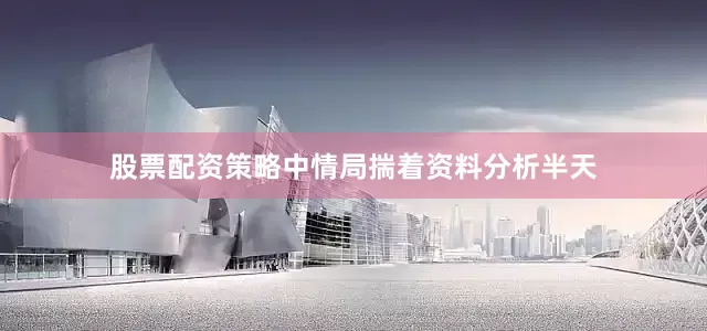 股票配资策略中情局揣着资料分析半天