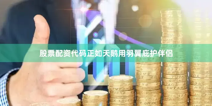 股票配资代码正如天鹅用羽翼庇护伴侣