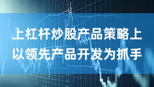 上杠杆炒股产品策略上以领先产品开发为抓手