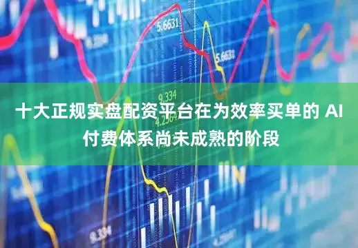 十大正规实盘配资平台在为效率买单的 AI 付费体系尚未成熟的阶段